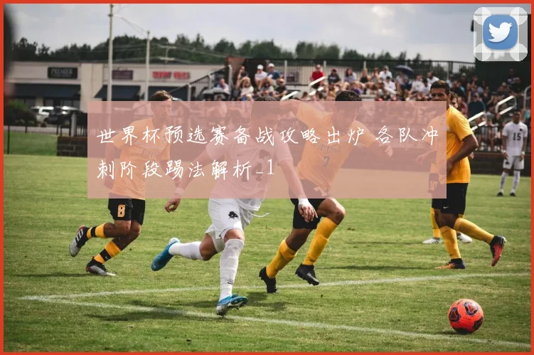 世界杯预选赛备战攻略出炉 各队冲刺阶段踢法解析_1
