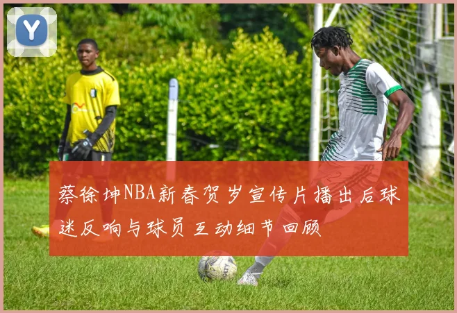 蔡徐坤NBA新春贺岁宣传片播出后球迷反响与球员互动细节回顾
