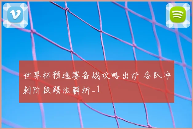 世界杯预选赛备战攻略出炉 各队冲刺阶段踢法解析_1